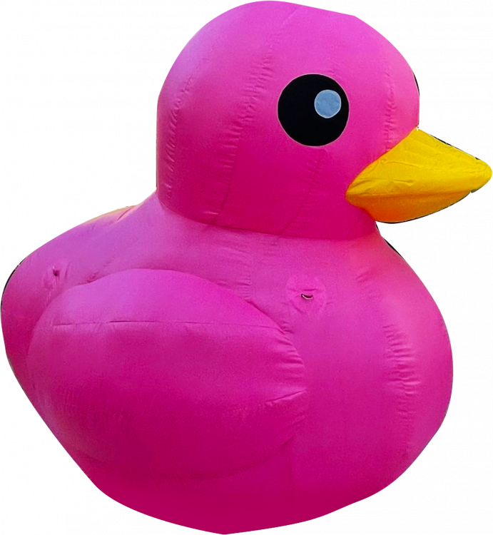 Pink Rubber Duck - Small