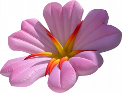 n 0030 Layer 31 1657726517 Pink Flower
