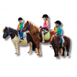 39 1698085371 Pony Rides