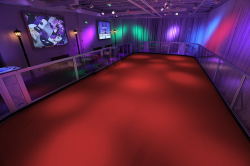 Unknown 1 1704990202 Roller Rink - CUSTOM SIZE