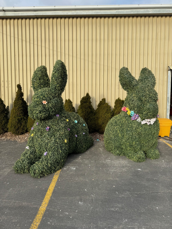 Bunny Topiary