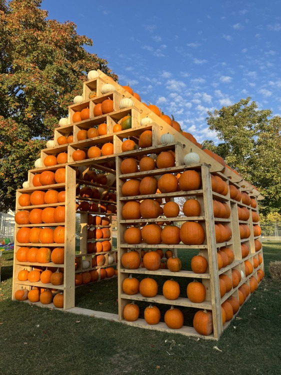 Pumpkins for Wooden House Structure