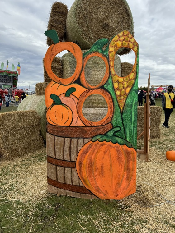 Novelty Photo Boards - Corn & Pumpkins