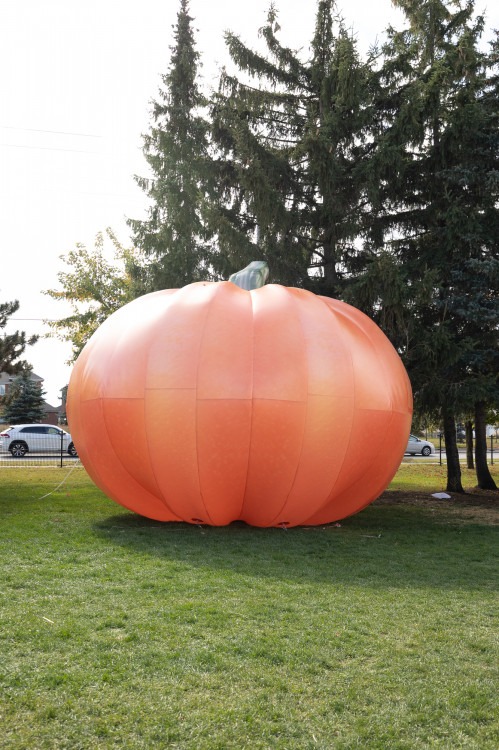 Inflatable Pumpkin(s)