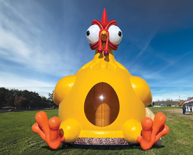 Chicken Bouncer 24'