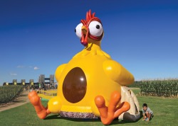 Unknown 1747418473 Chicken Bouncer 24'