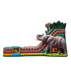 cuut outs 0019 Layer 29 1773839465 Safari 21’ Dual Lane Slide
