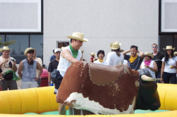 DCP 1495 1703098612 big 1776867572 Mechanical Bull - Square