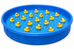 Duck Pond